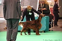 Crufts2011 835